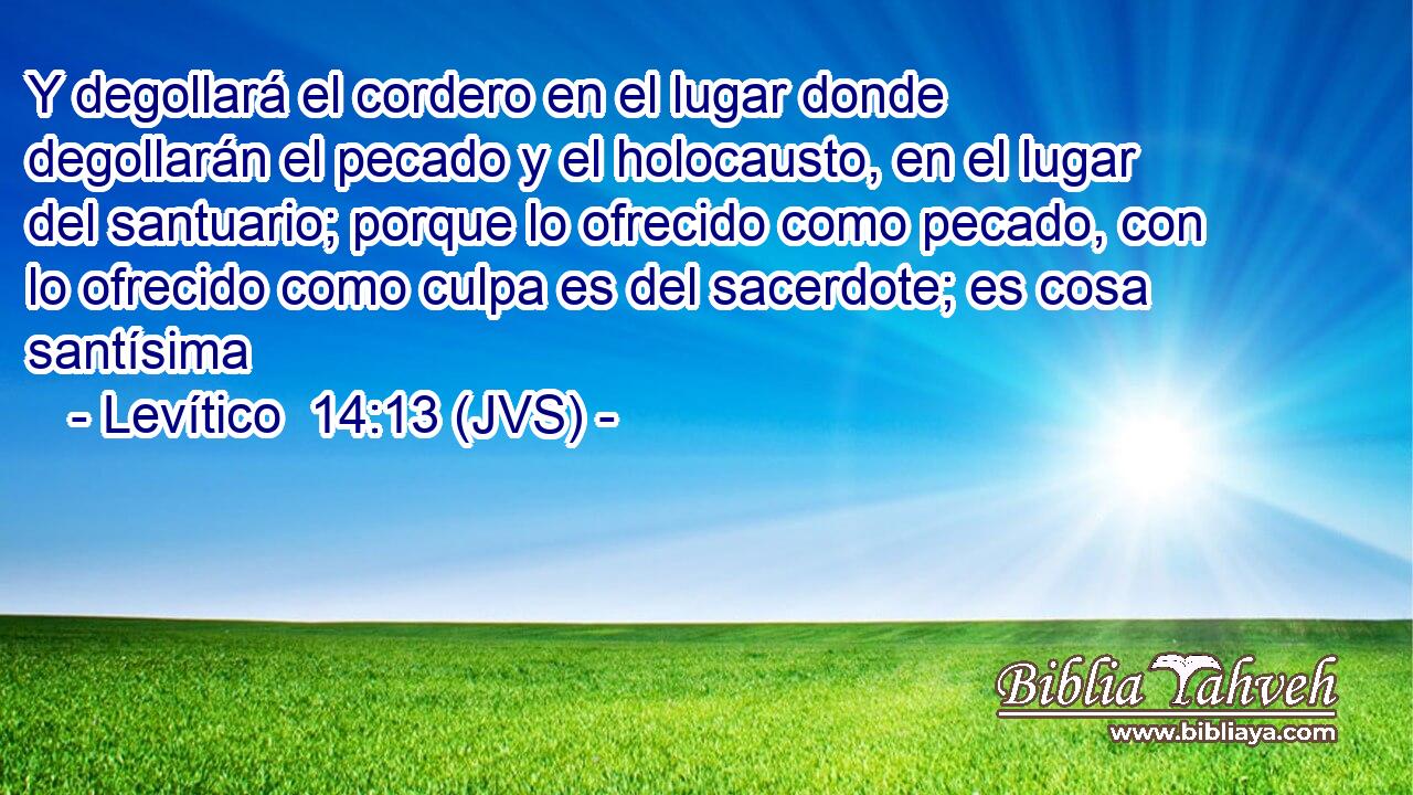 Y degollará el cordero en el lugar donde degollarán el pecado y el holocausto, en el lugar del santuario; porque lo ofrecido como pecado, con lo ofrecido como culpa es del sacerdote; es cosa santísima