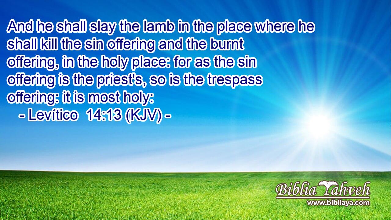 And he shall slay the lamb in the place where he shall kill the sin offering and the burnt offering, in the holy place: for as the sin offering is the priest's, so is the trespass offering: it is most holy: