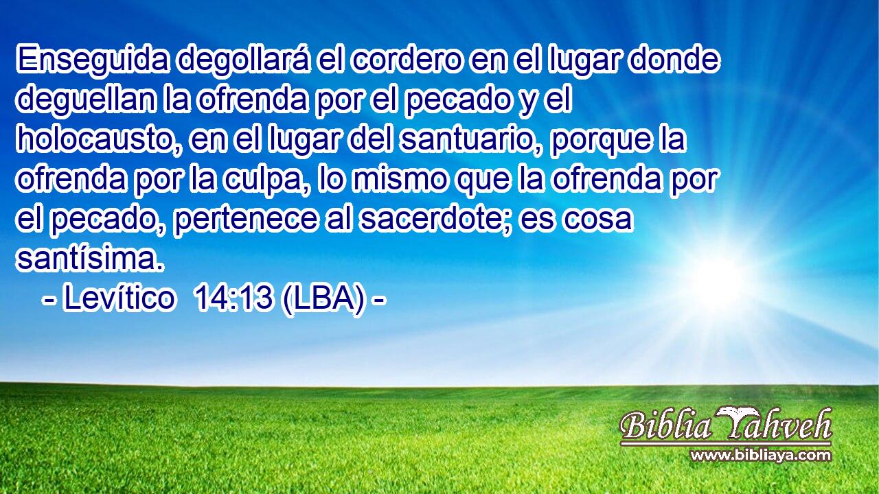 Enseguida degollará el cordero en el lugar donde deguellan la ofrenda por el pecado y el holocausto, en el lugar del santuario, porque la ofrenda por la culpa, lo mismo que la ofrenda por el pecado, pertenece al sacerdote; es cosa santísima.