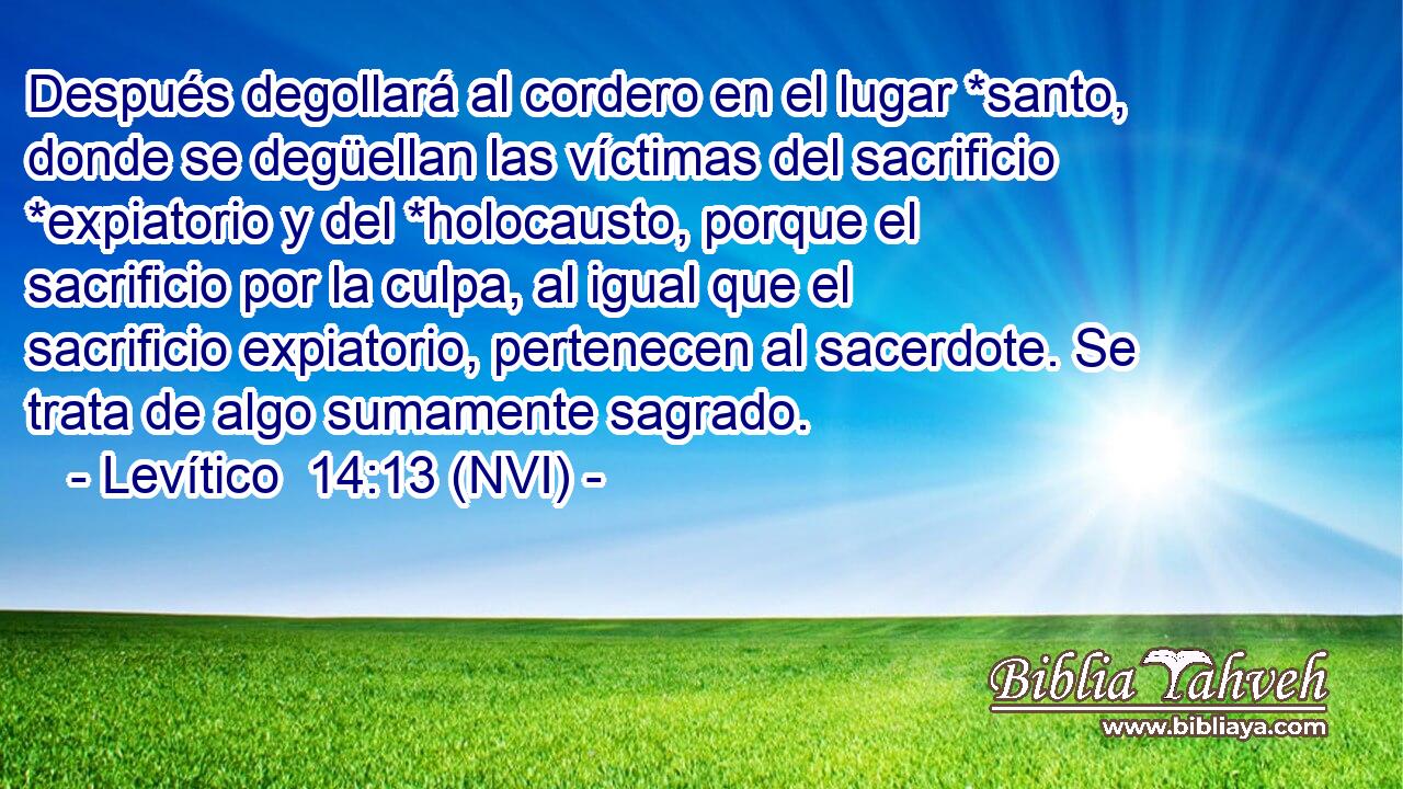  Después degollará al cordero en el lugar *santo, donde se degüellan las víctimas del sacrificio *expiatorio y del *holocausto, porque el sacrificio por la culpa, al igual que el sacrificio expiatorio, pertenecen al sacerdote. Se trata de algo sumamente sagrado. 