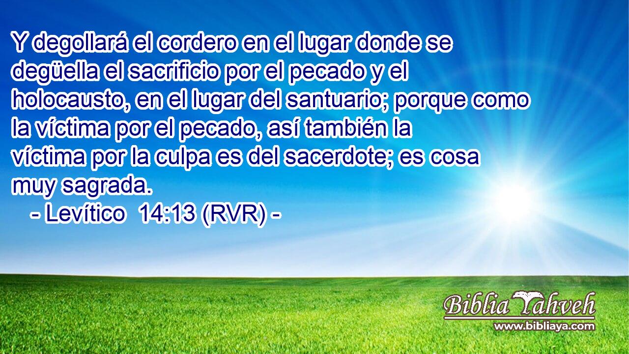 Y degollará el cordero en el lugar donde se degüella el sacrificio por el pecado y el holocausto, en el lugar del santuario; porque como la víctima por el pecado, así también la víctima por la culpa es del sacerdote; es cosa muy sagrada.