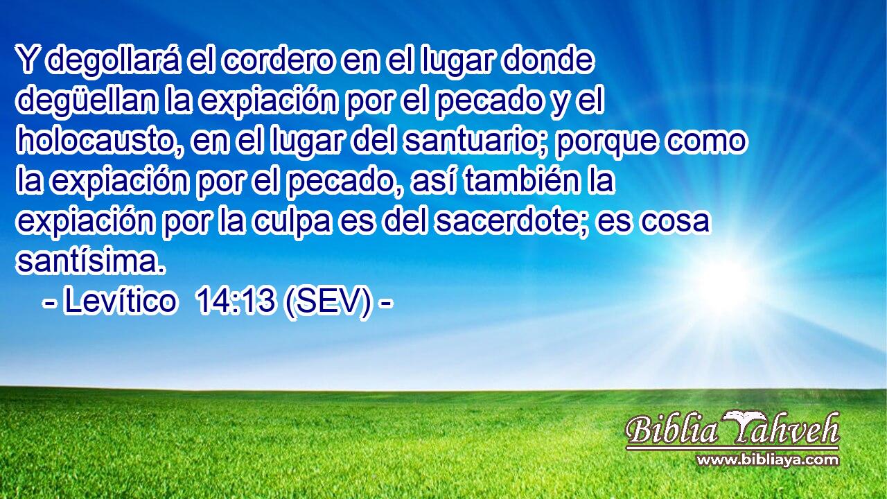 Y degollará el cordero en el lugar donde degüellan la expiación por el pecado y el holocausto, en el lugar del santuario; porque como la expiación por el pecado, así también la expiación por la culpa es del sacerdote; es cosa santísima.