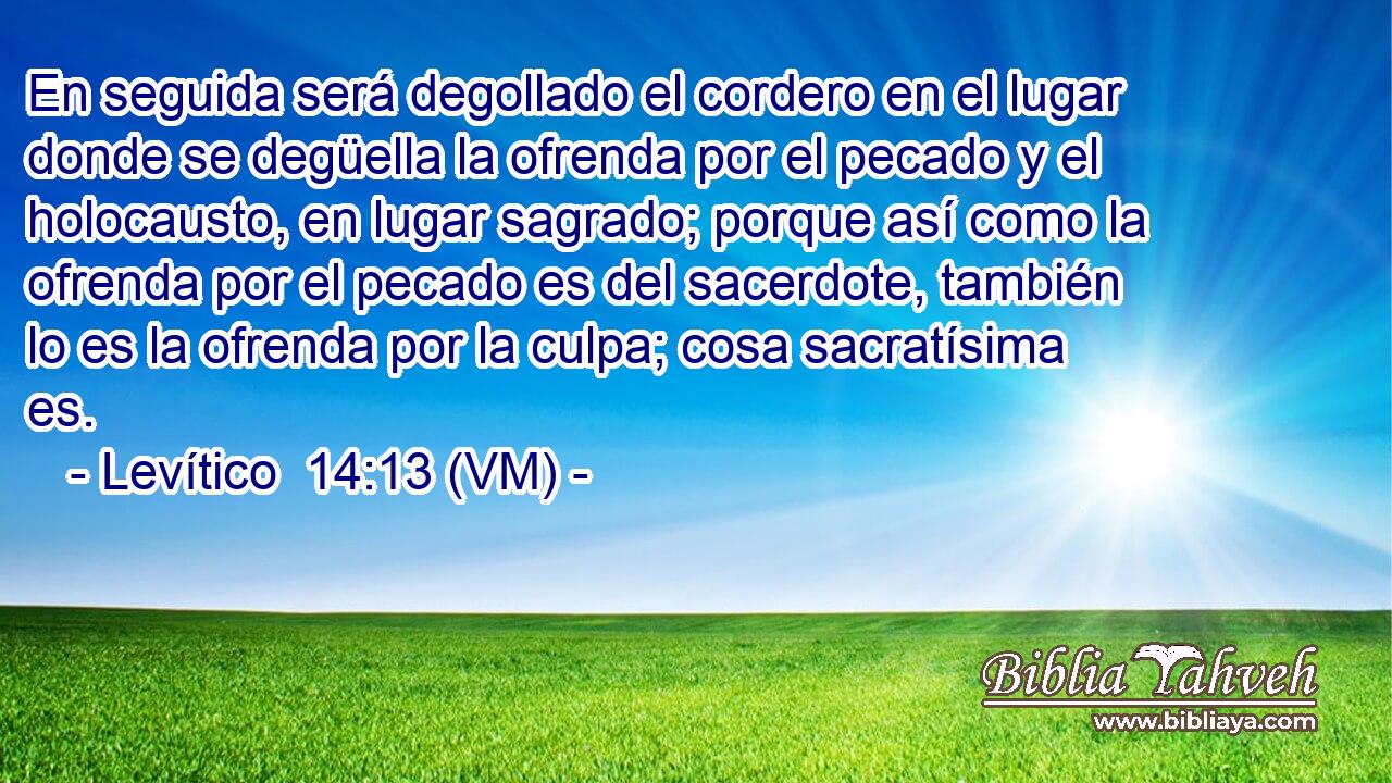  En seguida será degollado el cordero en el lugar donde se degüella la ofrenda por el pecado y el holocausto, en lugar sagrado; porque así como la ofrenda por el pecado es del sacerdote, también lo es la ofrenda por la culpa; cosa sacratísima es. 