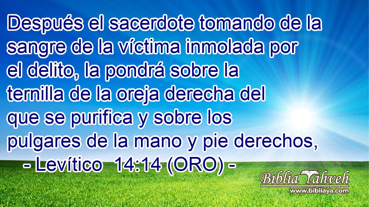  Después el sacerdote tomando de la sangre de la víctima inmolada por el delito, la pondrá sobre la ternilla de la oreja derecha del que se purifica y sobre los pulgares de la mano y pie derechos, 