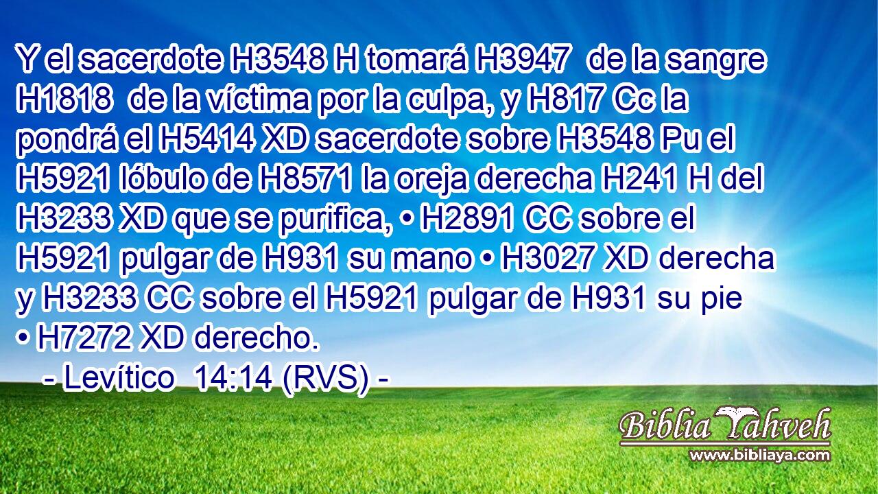 Y el sacerdote H3548 H tomará H3947  de la sangre H1818  de la víctima por la culpa, y H817 Cc la pondrá el H5414 XD sacerdote sobre H3548 Pu el H5921 lóbulo de H8571 la oreja derecha H241 H del H3233 XD que se purifica, • H2891 CC sobre el H5921 pulgar de H931 su mano • H3027 XD derecha y H3233 CC sobre el H5921 pulgar de H931 su pie • H7272 XD derecho. 