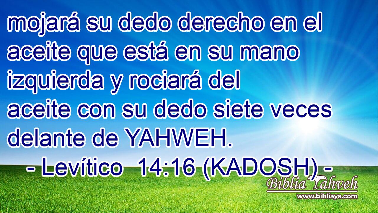  mojará su dedo derecho en el aceite que está en su mano izquierda y rociará del aceite con su dedo siete veces delante de YAHWEH. 