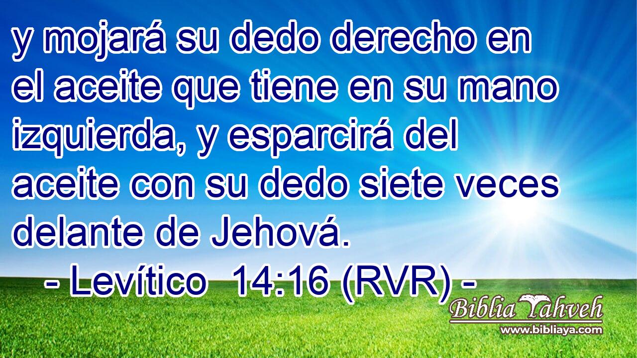 y mojará su dedo derecho en el aceite que tiene en su mano izquierda, y esparcirá del aceite con su dedo siete veces delante de Jehová.