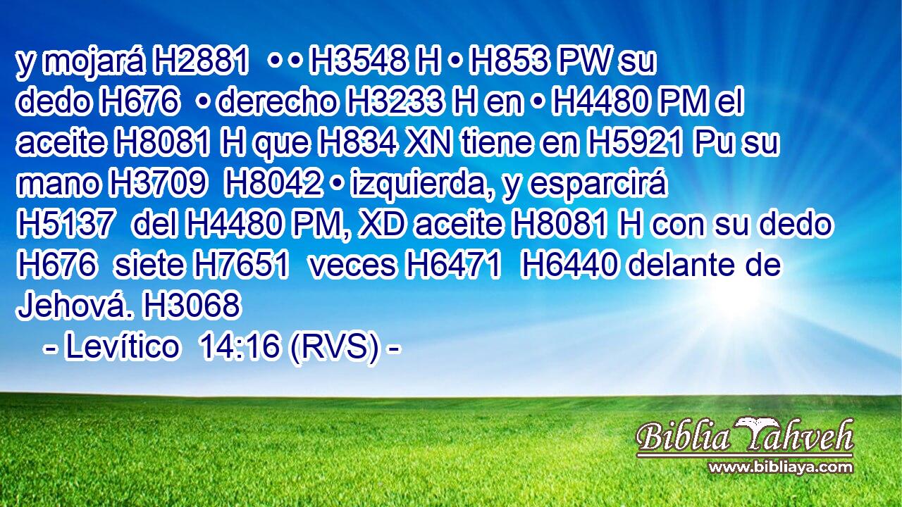 y mojará H2881  • • H3548 H • H853 PW su dedo H676  • derecho H3233 H en • H4480 PM el aceite H8081 H que H834 XN tiene en H5921 Pu su mano H3709  H8042 • izquierda, y esparcirá H5137  del H4480 PM, XD aceite H8081 H con su dedo H676  siete H7651  veces H6471  H6440 delante de Jehová. H3068  