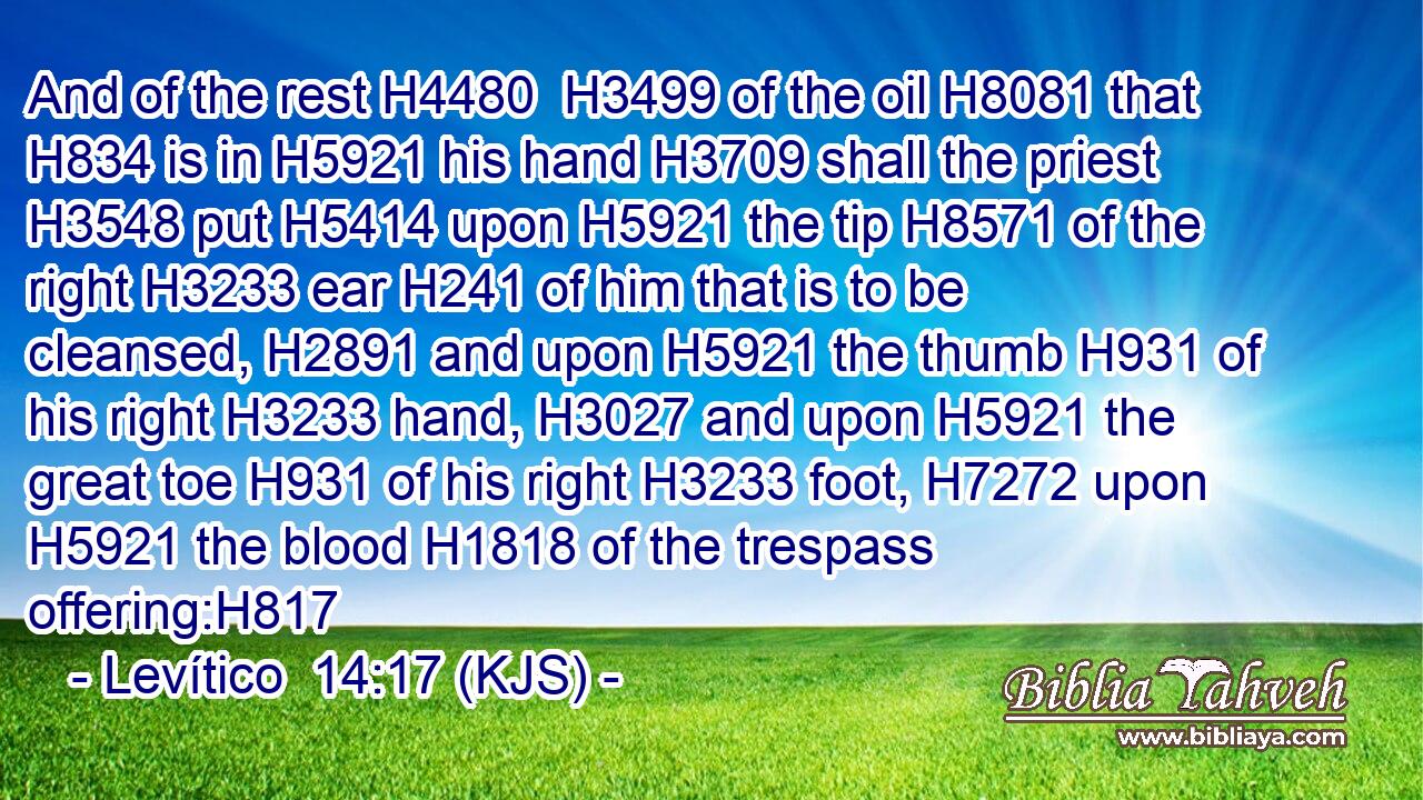 And of the rest H4480  H3499 of the oil H8081 that H834 is in H5921 his hand H3709 shall the priest H3548 put H5414 upon H5921 the tip H8571 of the right H3233 ear H241 of him that is to be cleansed, H2891 and upon H5921 the thumb H931 of his right H3233 hand, H3027 and upon H5921 the great toe H931 of his right H3233 foot, H7272 upon H5921 the blood H1818 of the trespass offering:H817