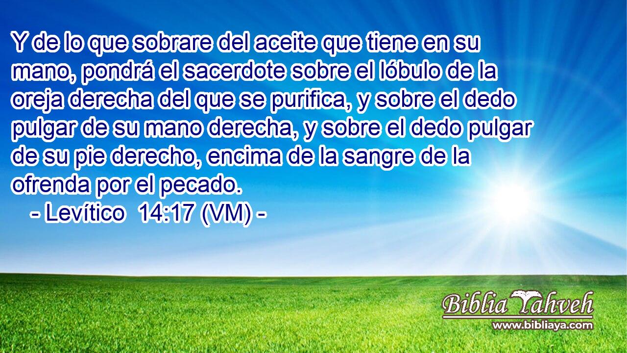  Y de lo que sobrare del aceite que tiene en su mano, pondrá el sacerdote sobre el lóbulo de la oreja derecha del que se purifica, y sobre el dedo pulgar de su mano derecha, y sobre el dedo pulgar de su pie derecho, encima de la sangre de la ofrenda por el pecado. 