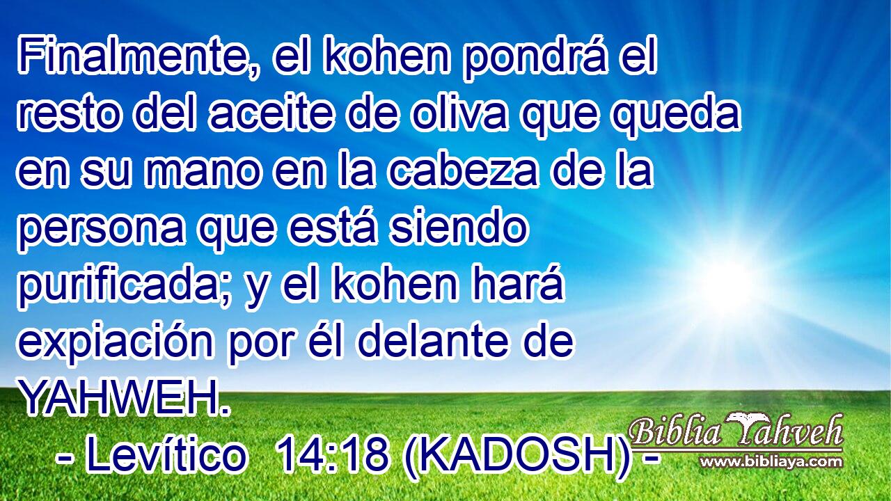 Finalmente, el kohen pondrá el resto del aceite de oliva que queda en su mano en la cabeza de la persona que está siendo purificada; y el kohen hará expiación por él delante de YAHWEH. 