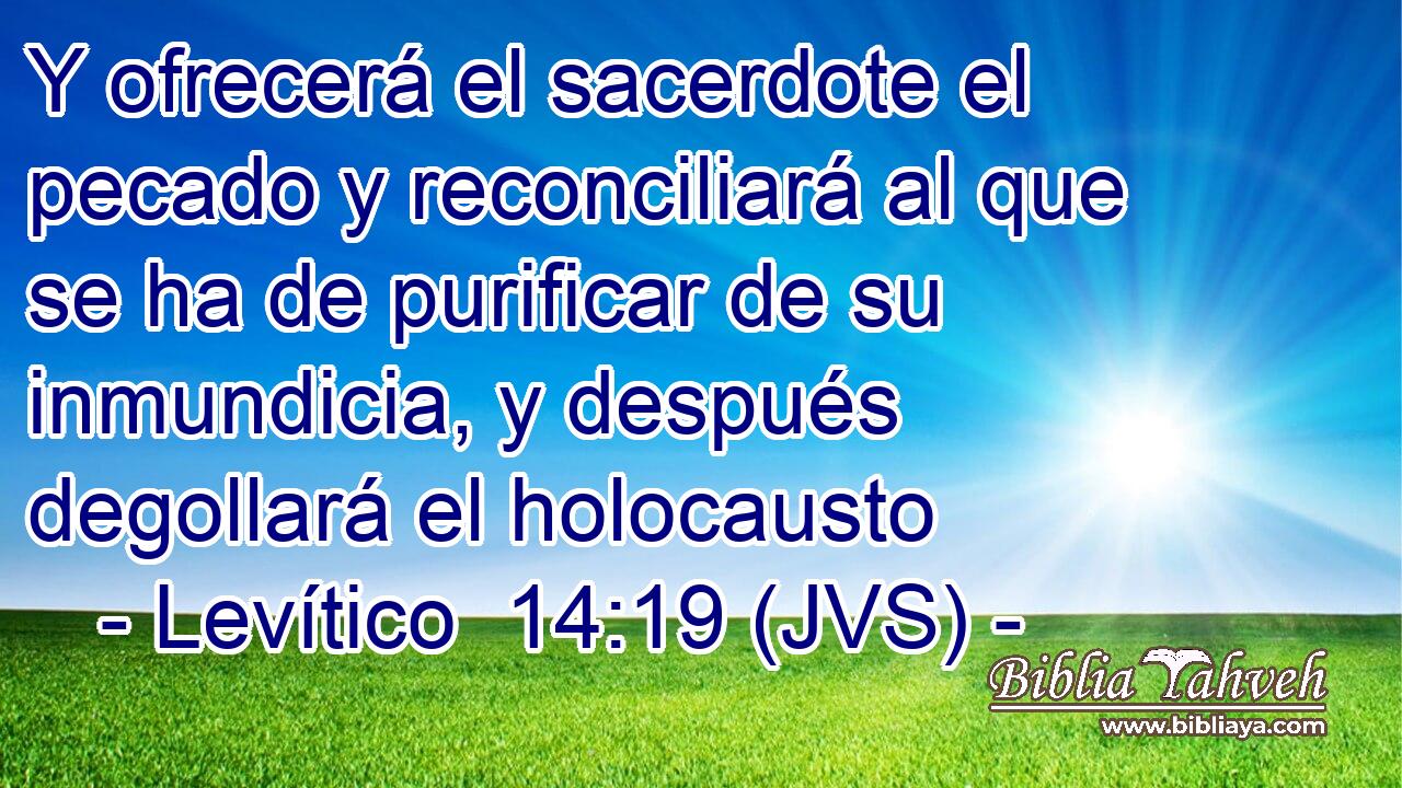 Y ofrecerá el sacerdote el pecado y reconciliará al que se ha de purificar de su inmundicia, y después degollará el holocausto