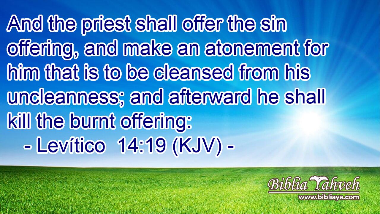 And the priest shall offer the sin offering, and make an atonement for him that is to be cleansed from his uncleanness; and afterward he shall kill the burnt offering: