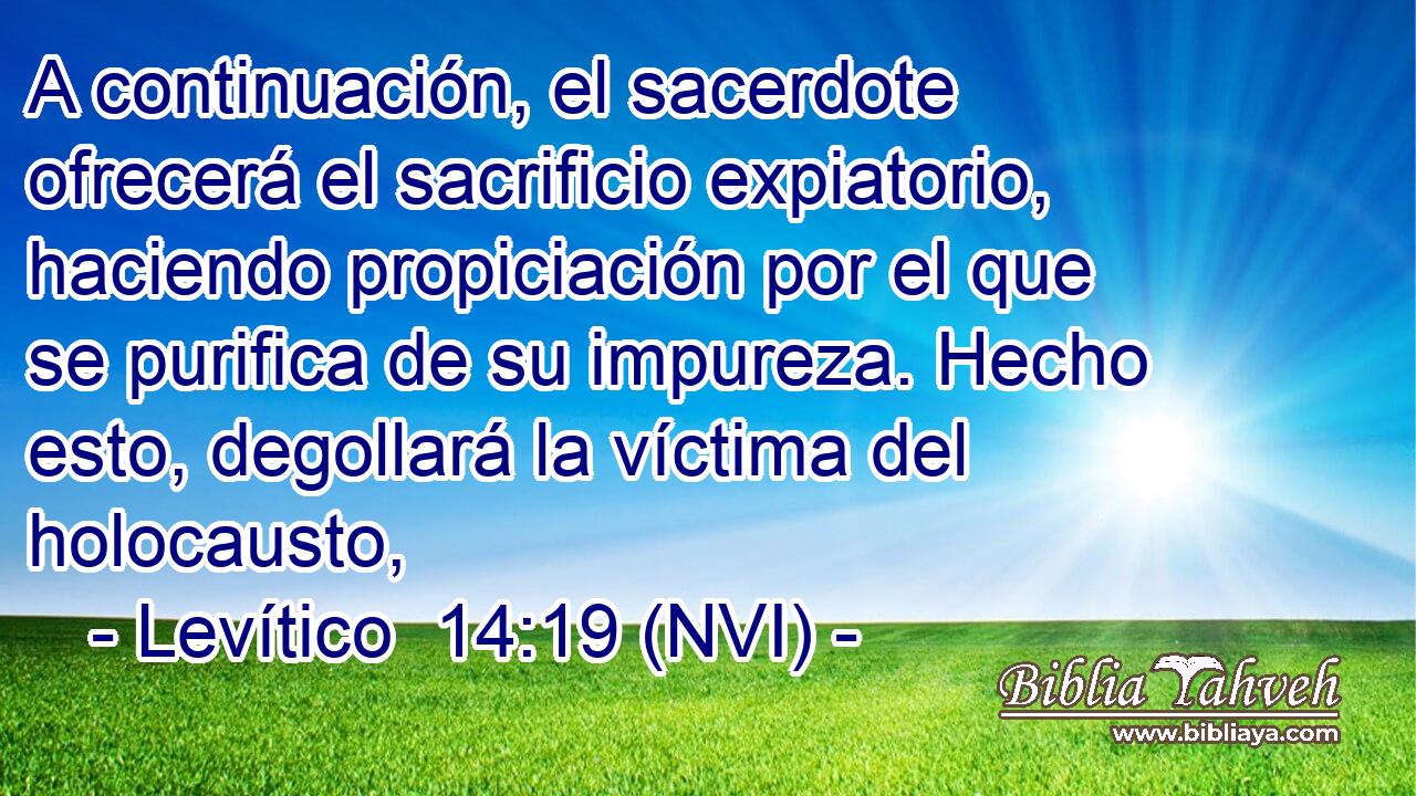  A continuación, el sacerdote ofrecerá el sacrificio expiatorio, haciendo propiciación por el que se purifica de su impureza. Hecho esto, degollará la víctima del holocausto, 