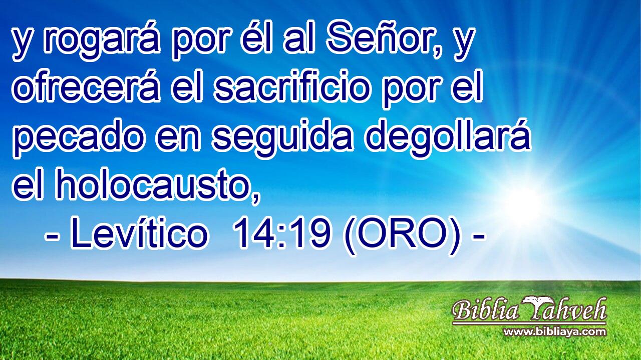  y rogará por él al Señor, y ofrecerá el sacrificio por el pecado en seguida degollará el holocausto, 