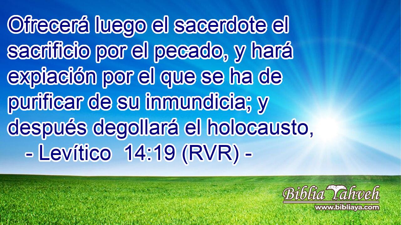 Ofrecerá luego el sacerdote el sacrificio por el pecado, y hará expiación por el que se ha de purificar de su inmundicia; y después degollará el holocausto,