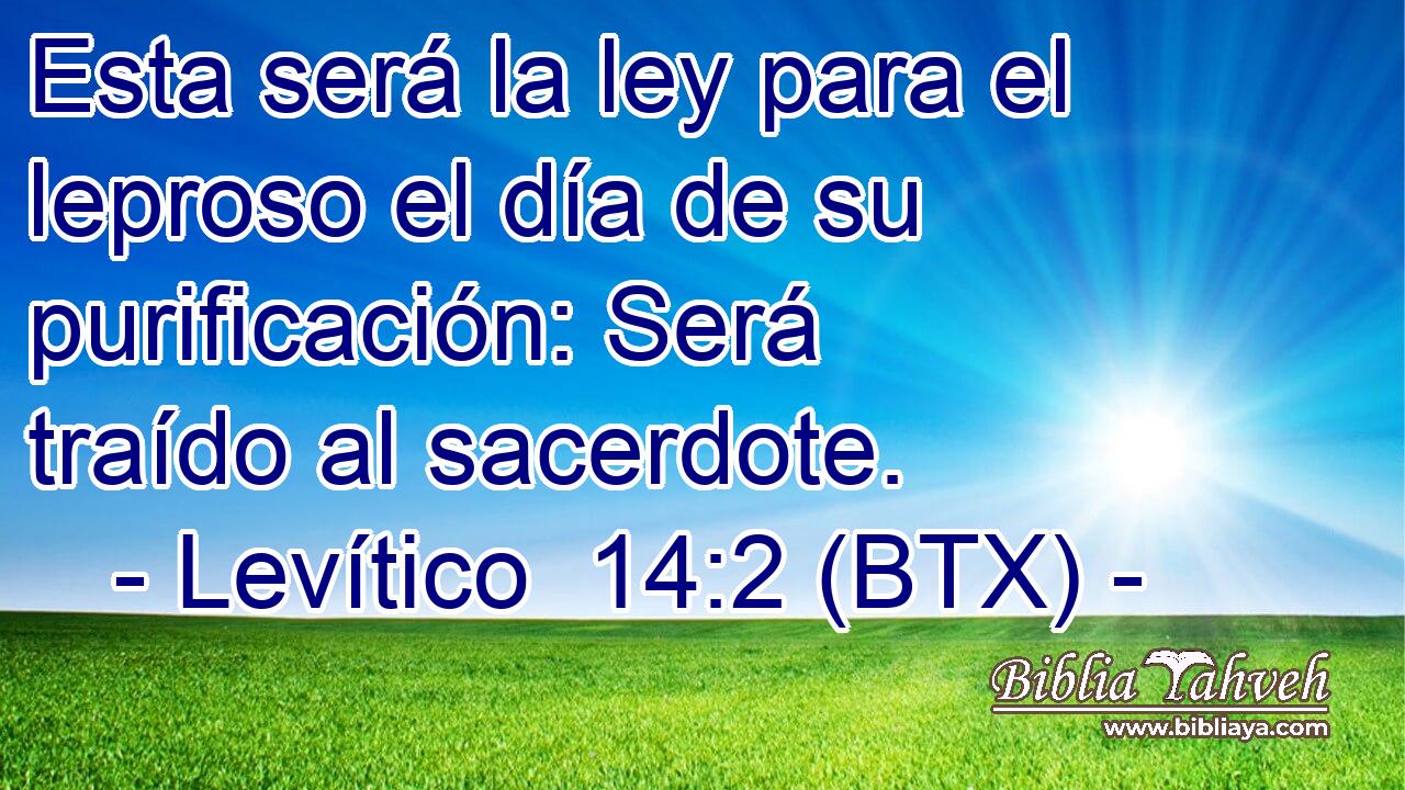 Esta será la ley para el leproso el día de su purificación: Será traído al sacerdote.