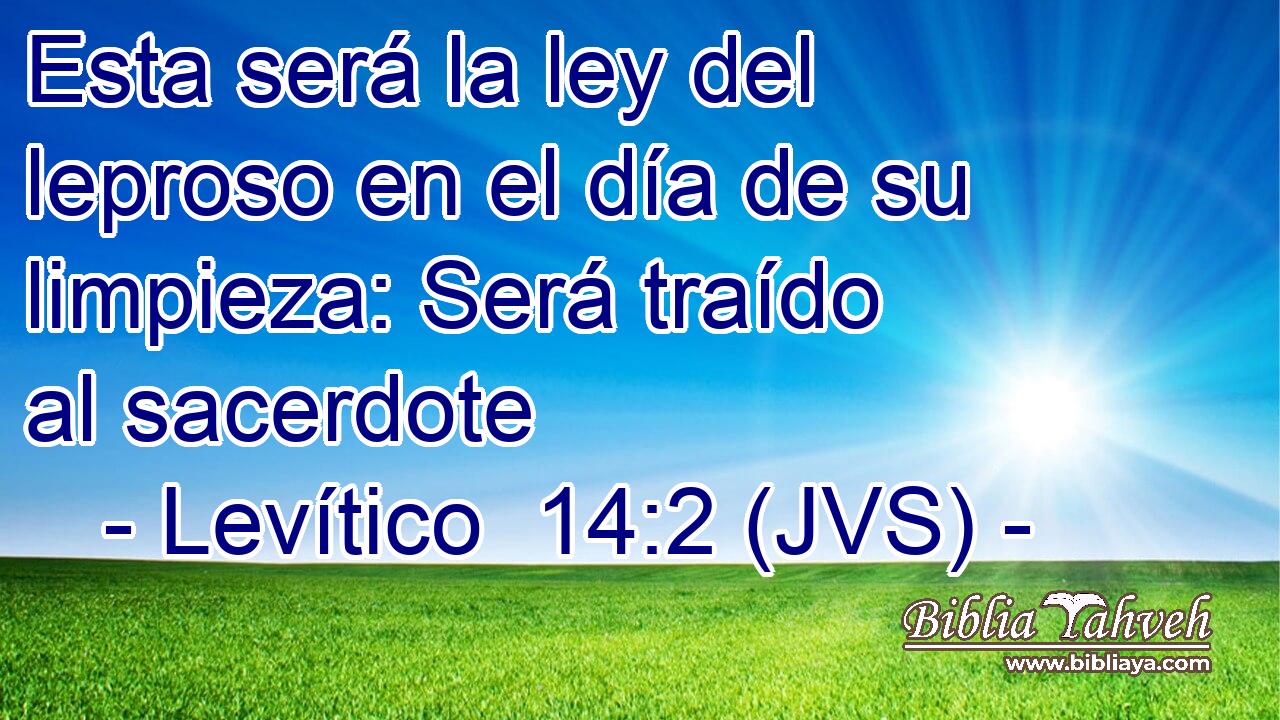 Esta será la ley del leproso en el día de su limpieza: Será traído al sacerdote