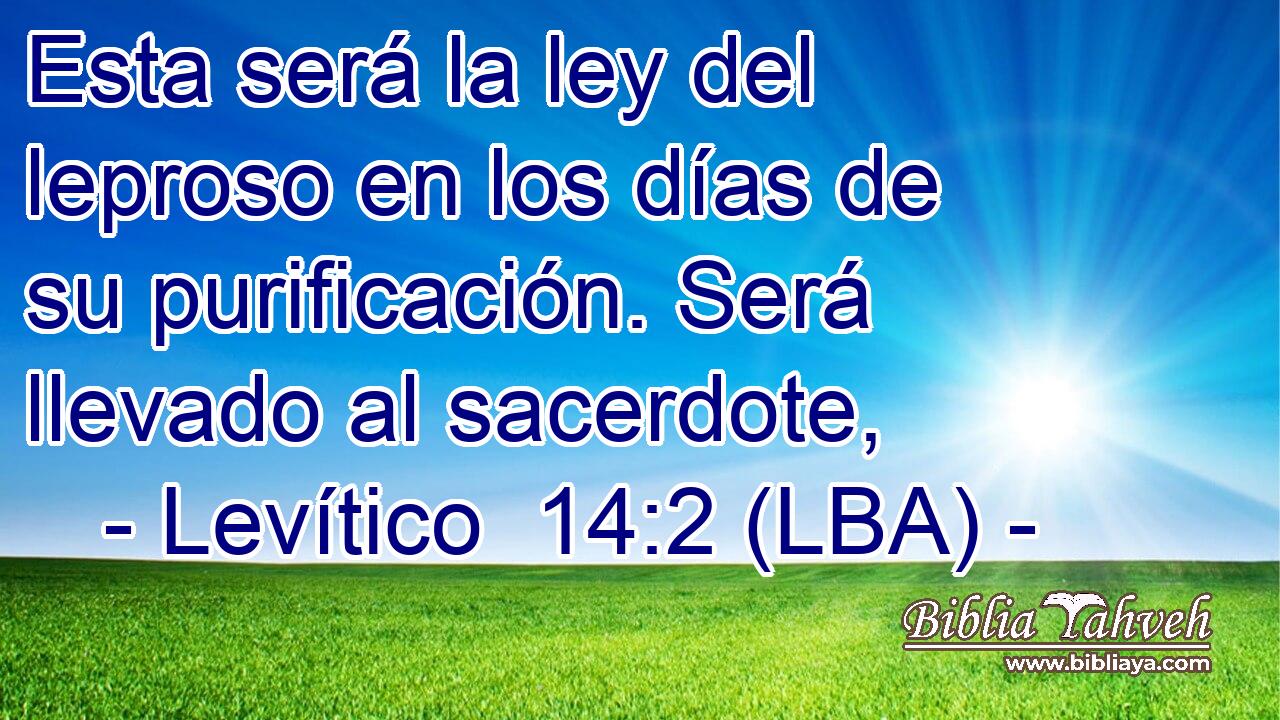 Esta será la ley del leproso en los días de su purificación. Será llevado al sacerdote,