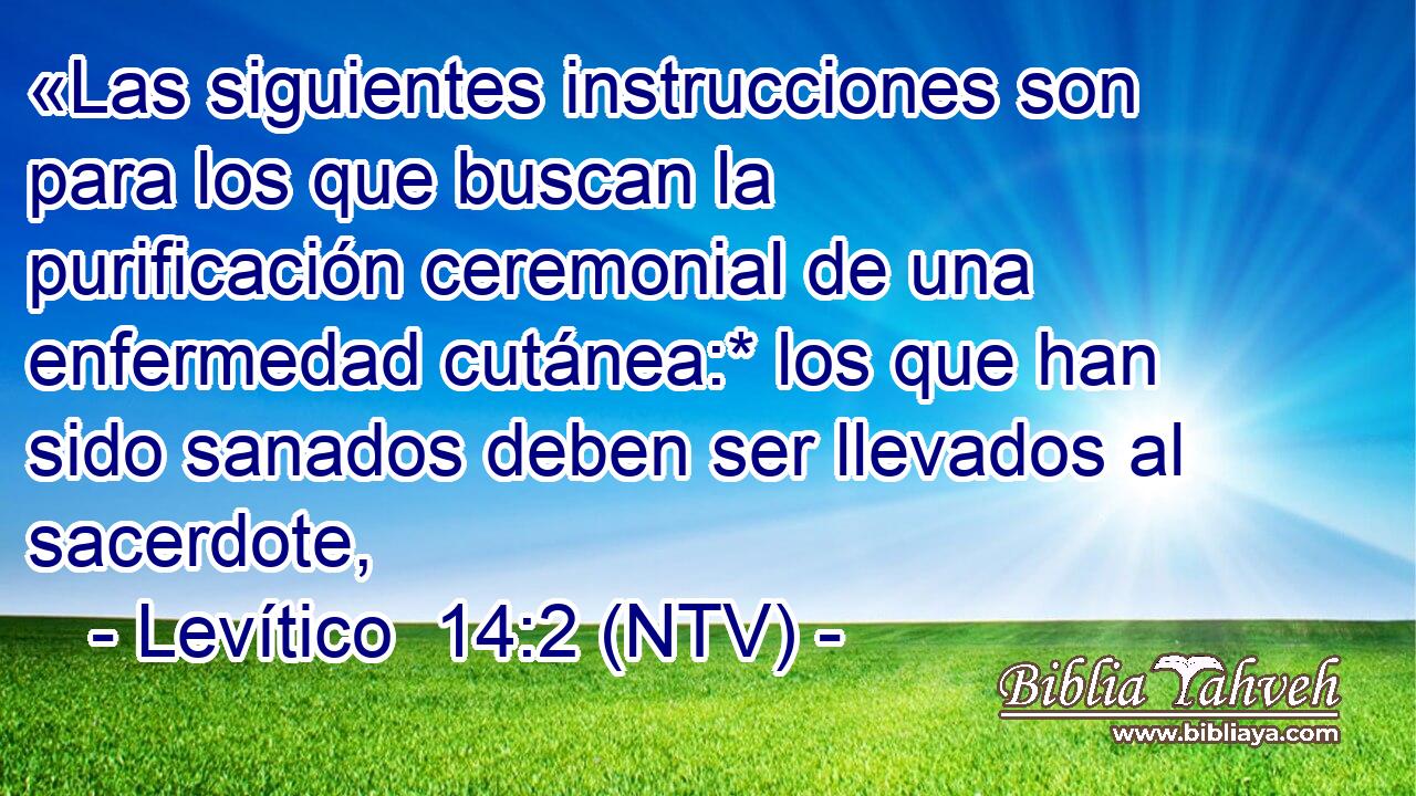 «Las siguientes instrucciones son para los que buscan la purificación ceremonial de una enfermedad cutánea:* los que han sido sanados deben ser llevados al sacerdote,
