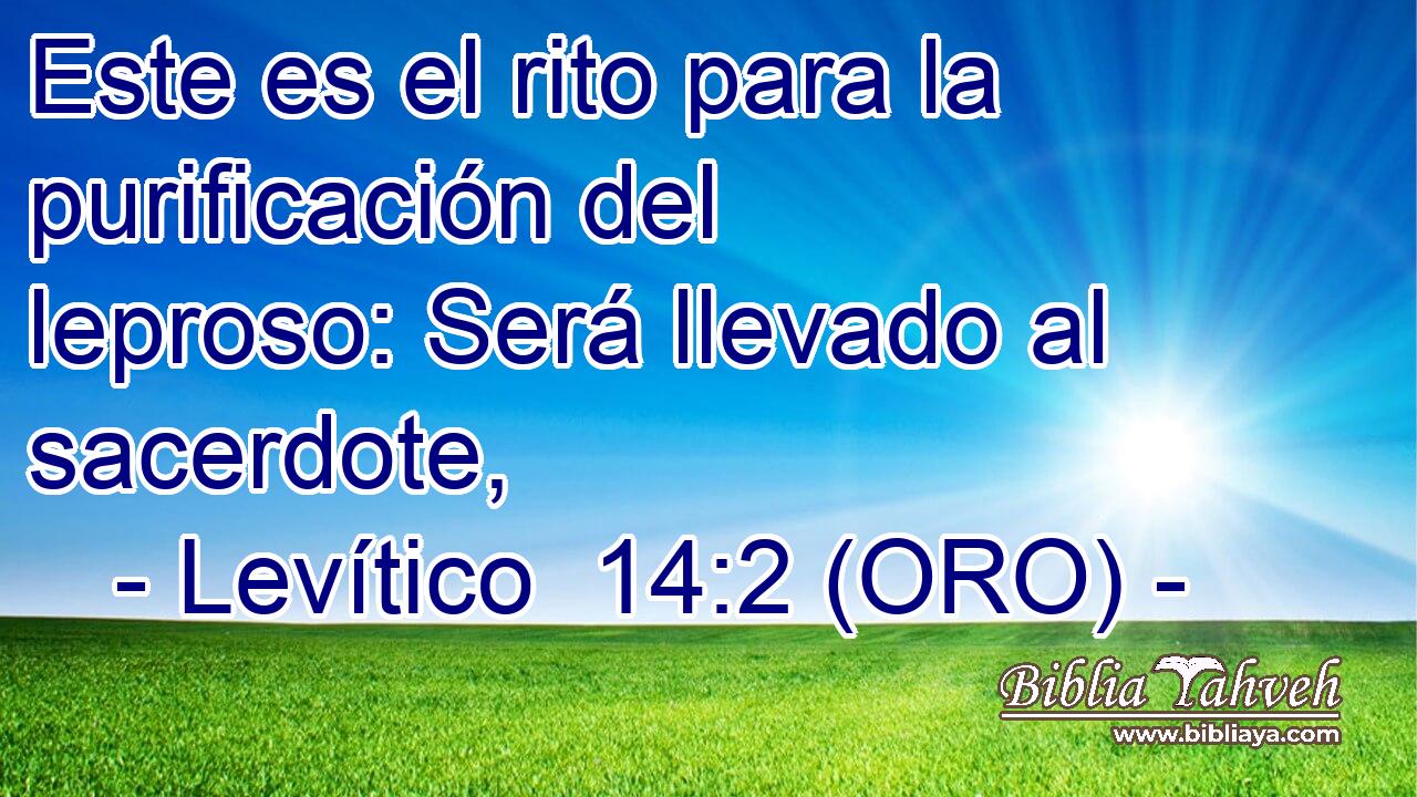  Este es el rito para la purificación del leproso: Será llevado al sacerdote, 