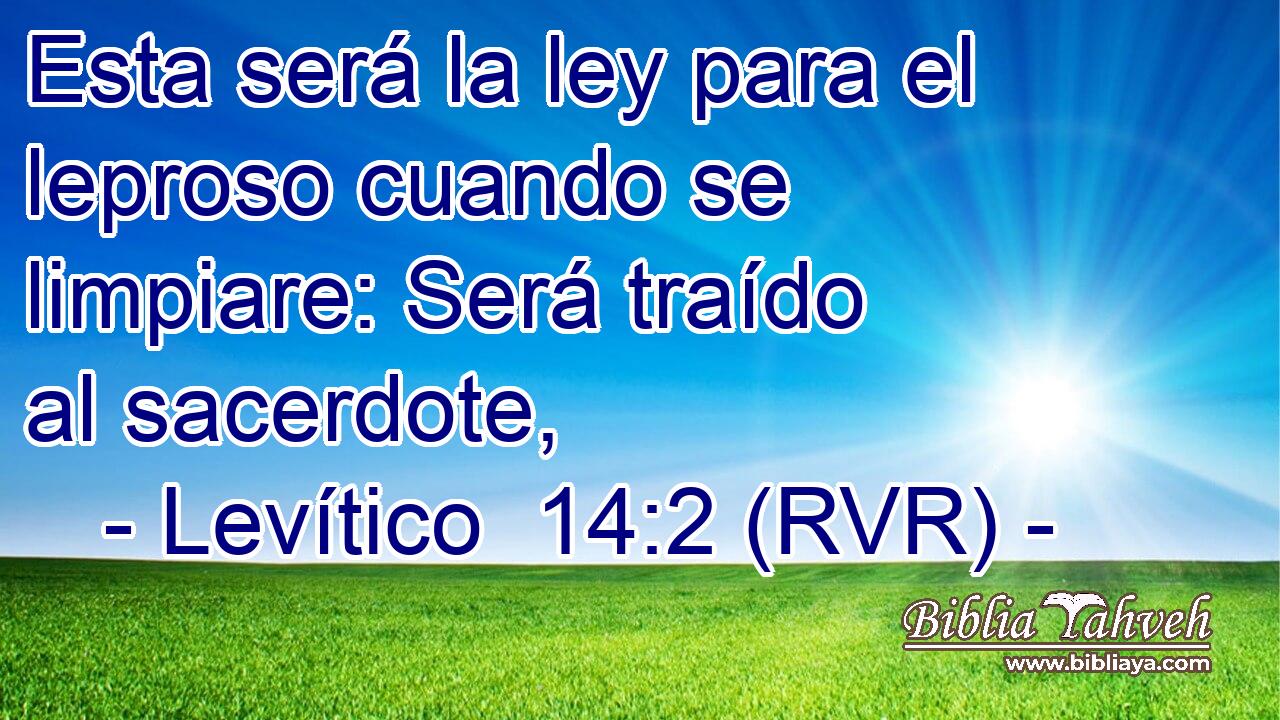 Esta será la ley para el leproso cuando se limpiare: Será traído al sacerdote,