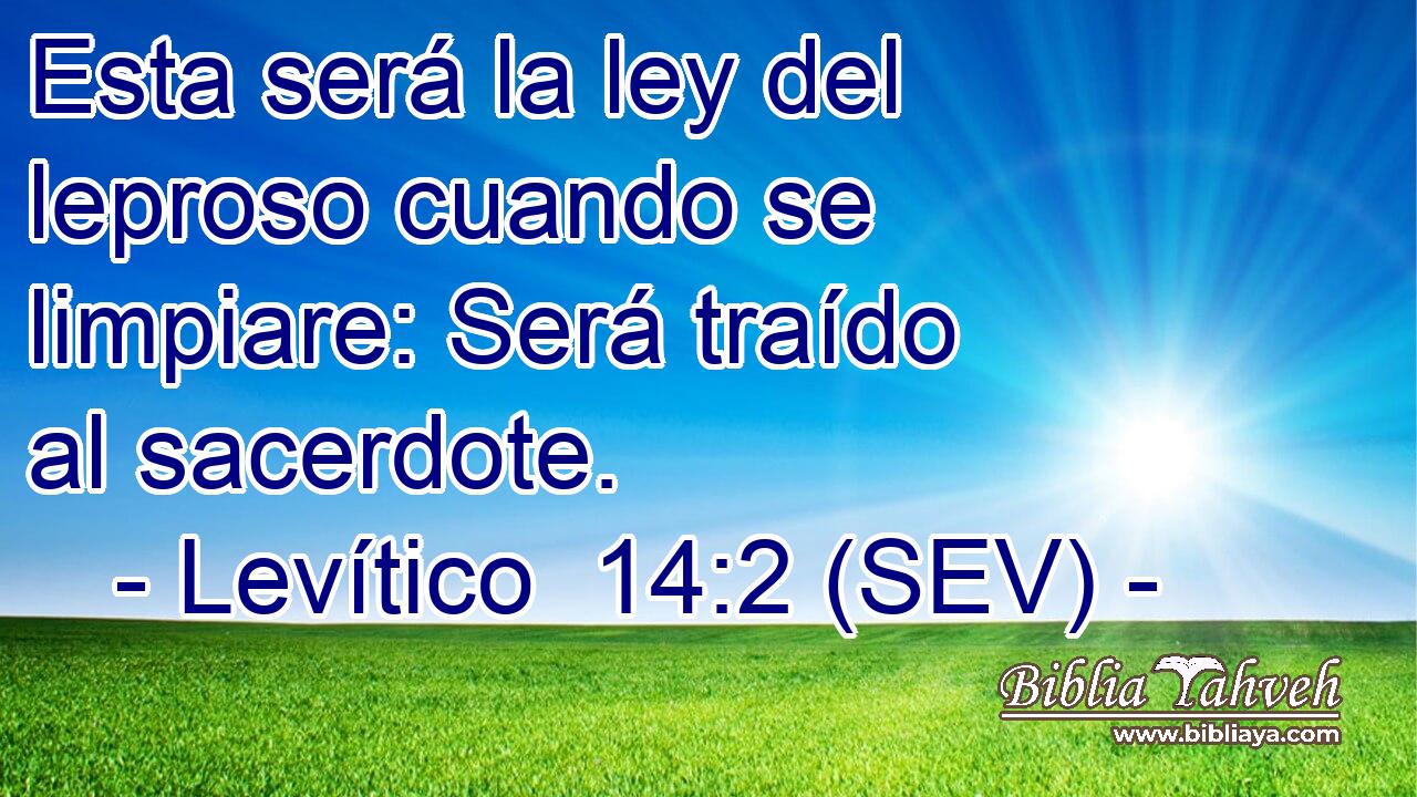 Esta será la ley del leproso cuando se limpiare: Será traído al sacerdote.