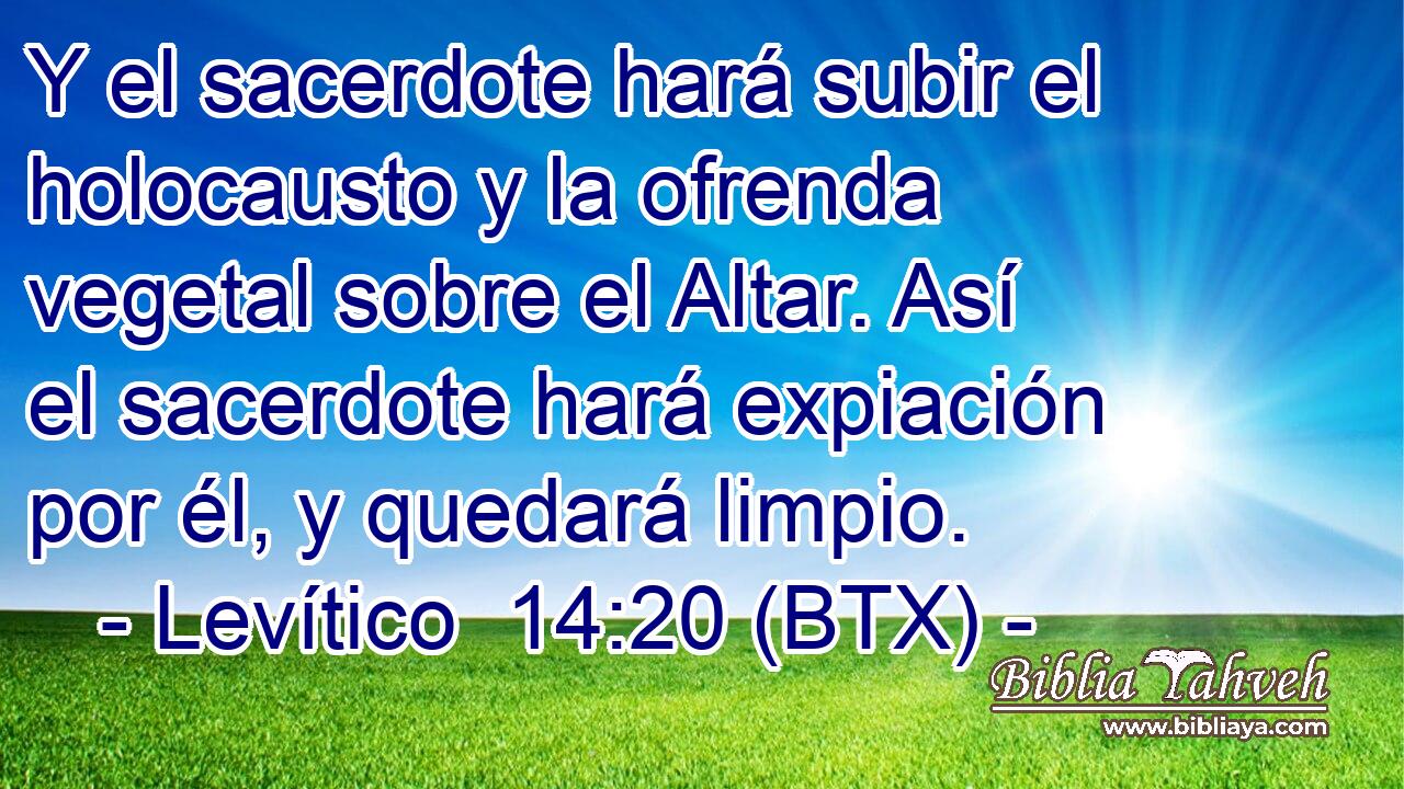 Y el sacerdote hará subir el holocausto y la ofrenda vegetal sobre el Altar. Así el sacerdote hará expiación por él, y quedará limpio.