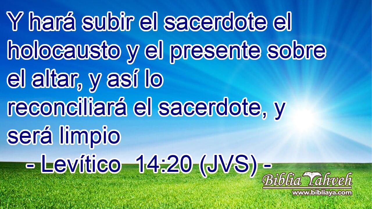 Y hará subir el sacerdote el holocausto y el presente sobre el altar, y así lo reconciliará el sacerdote, y será limpio