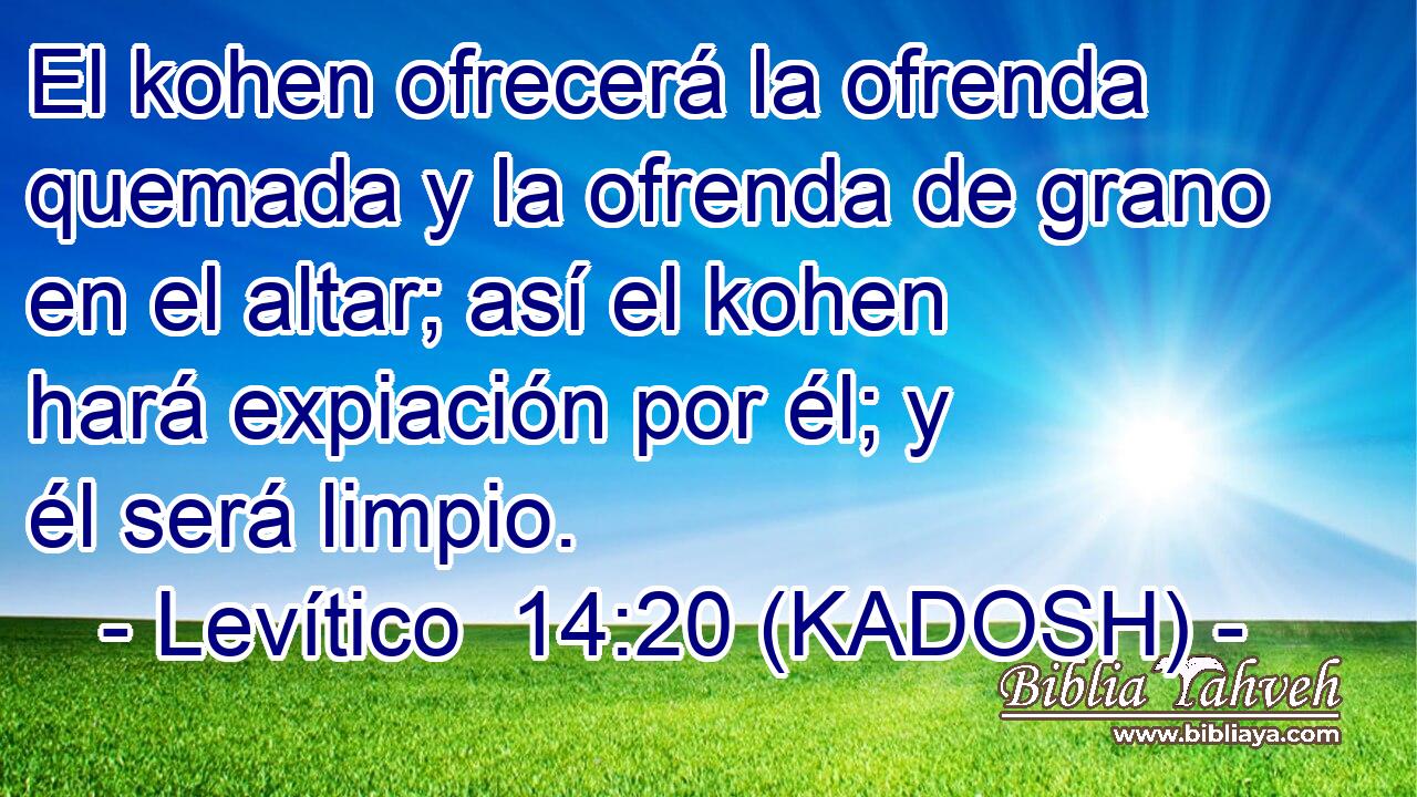  El kohen ofrecerá la ofrenda quemada y la ofrenda de grano en el altar; así el kohen hará expiación por él; y él será limpio. 