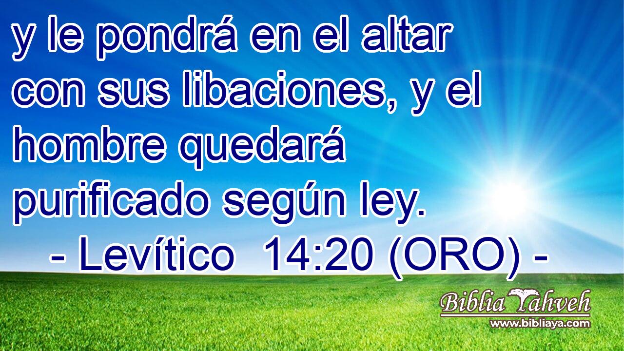  y le pondrá en el altar con sus libaciones, y el hombre quedará purificado según ley. 