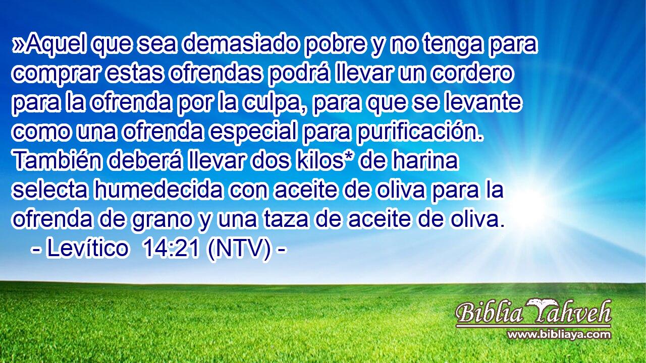 »Aquel que sea demasiado pobre y no tenga para comprar estas ofrendas podrá llevar un cordero para la ofrenda por la culpa, para que se levante como una ofrenda especial para purificación. También deberá llevar dos kilos* de harina selecta humedecida con aceite de oliva para la ofrenda de grano y una taza de aceite de oliva.