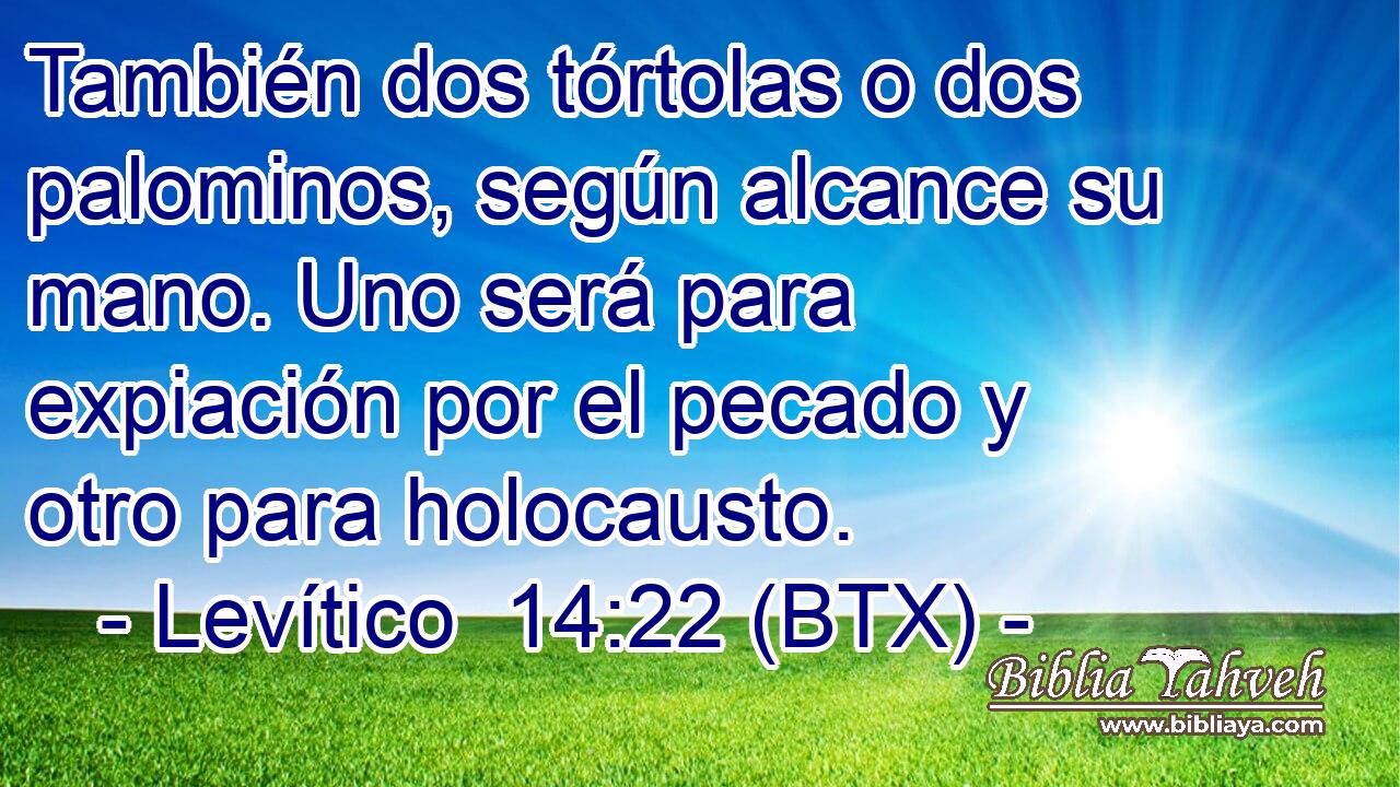 También dos tórtolas o dos palominos, según alcance su mano. Uno será para expiación por el pecado y otro para holocausto.