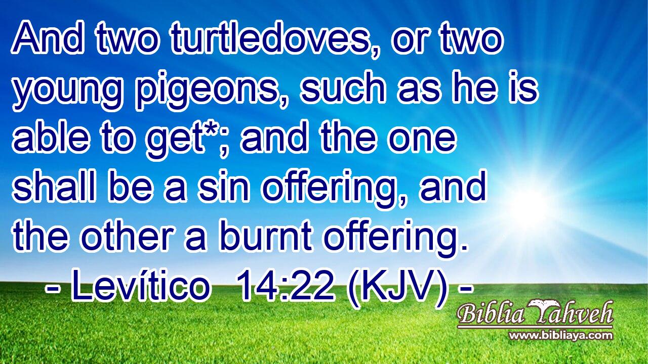 And two turtledoves, or two young pigeons, such as he is able to get*; and the one shall be a sin offering, and the other a burnt offering.