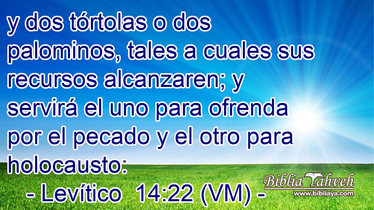  y dos tórtolas o dos palominos, tales a cuales sus recursos alcanzaren; y servirá el uno para ofrenda por el pecado y el otro para holocausto: 