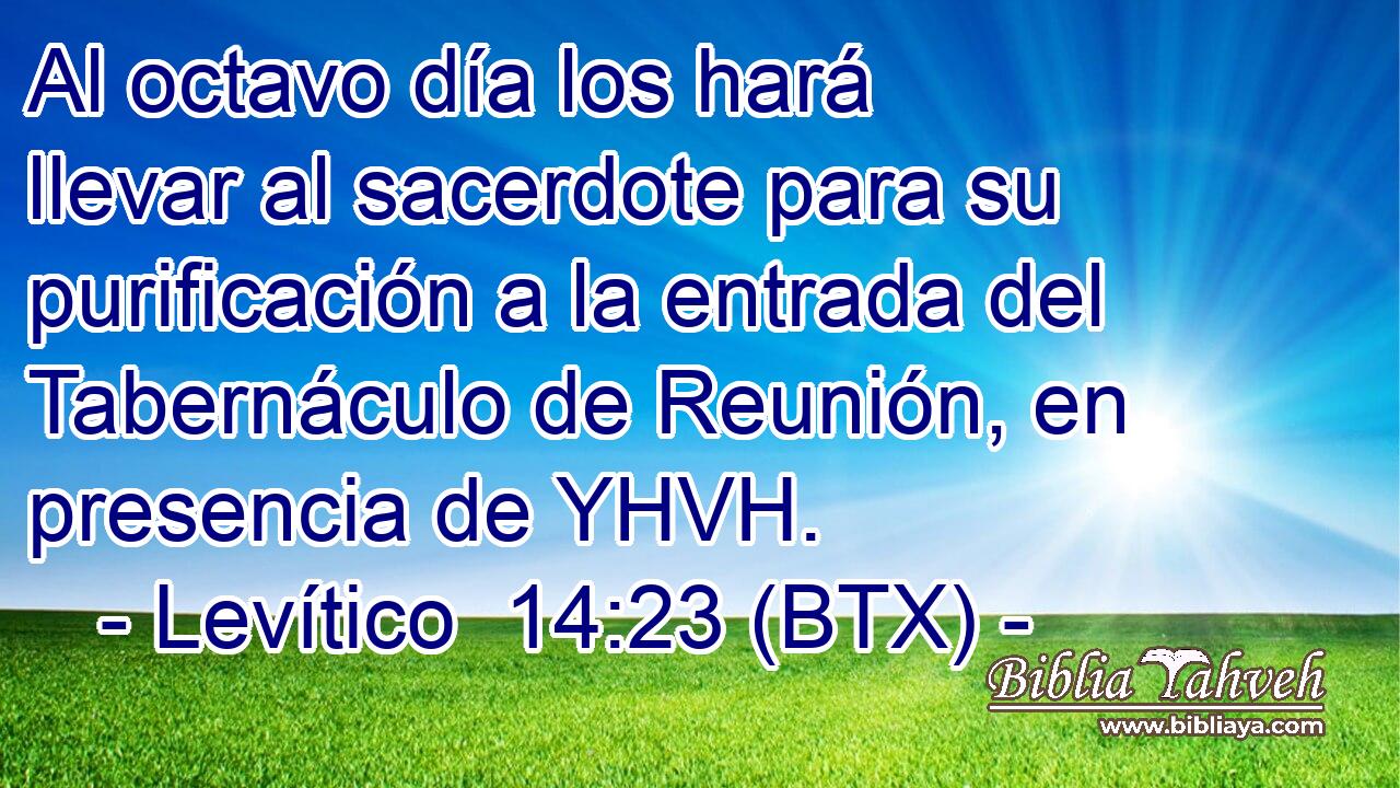 Al octavo día los hará llevar al sacerdote para su purificación a la entrada del Tabernáculo de Reunión, en presencia de YHVH.