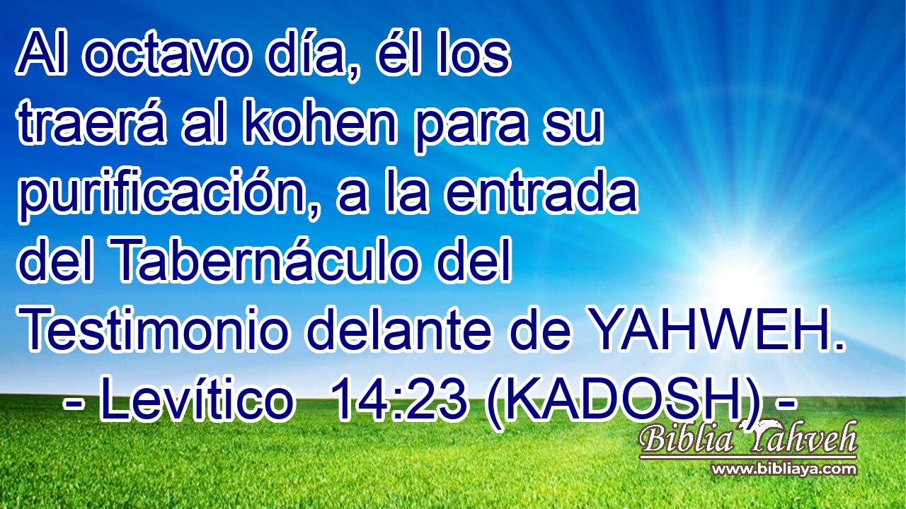  Al octavo día, él los traerá al kohen para su purificación, a la entrada del Tabernáculo del Testimonio delante de YAHWEH. 