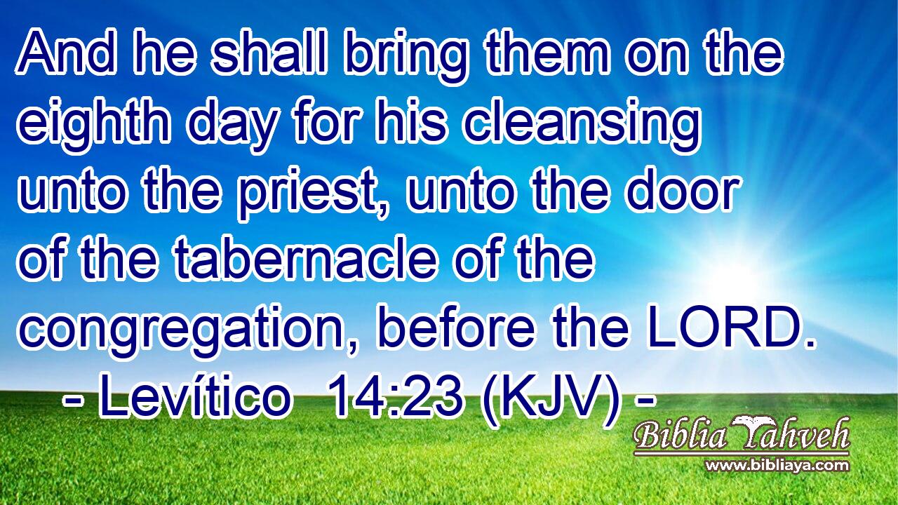 And he shall bring them on the eighth day for his cleansing unto the priest, unto the door of the tabernacle of the congregation, before the LORD.