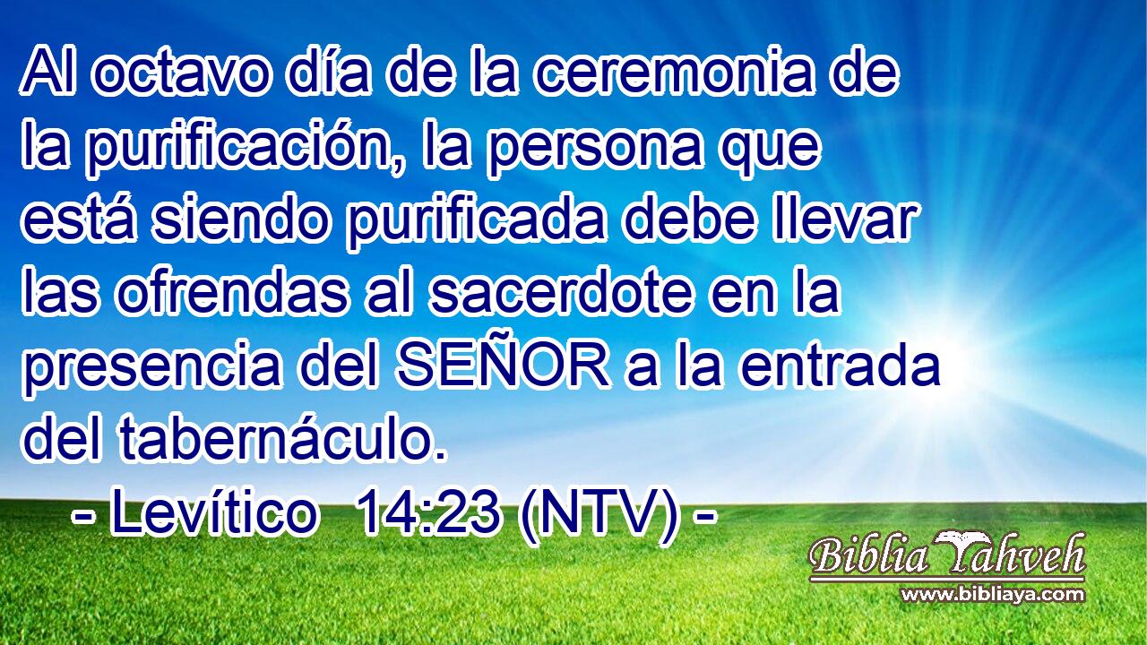 Al octavo día de la ceremonia de la purificación, la persona que está siendo purificada debe llevar las ofrendas al sacerdote en la presencia del SEÑOR a la entrada del tabernáculo.