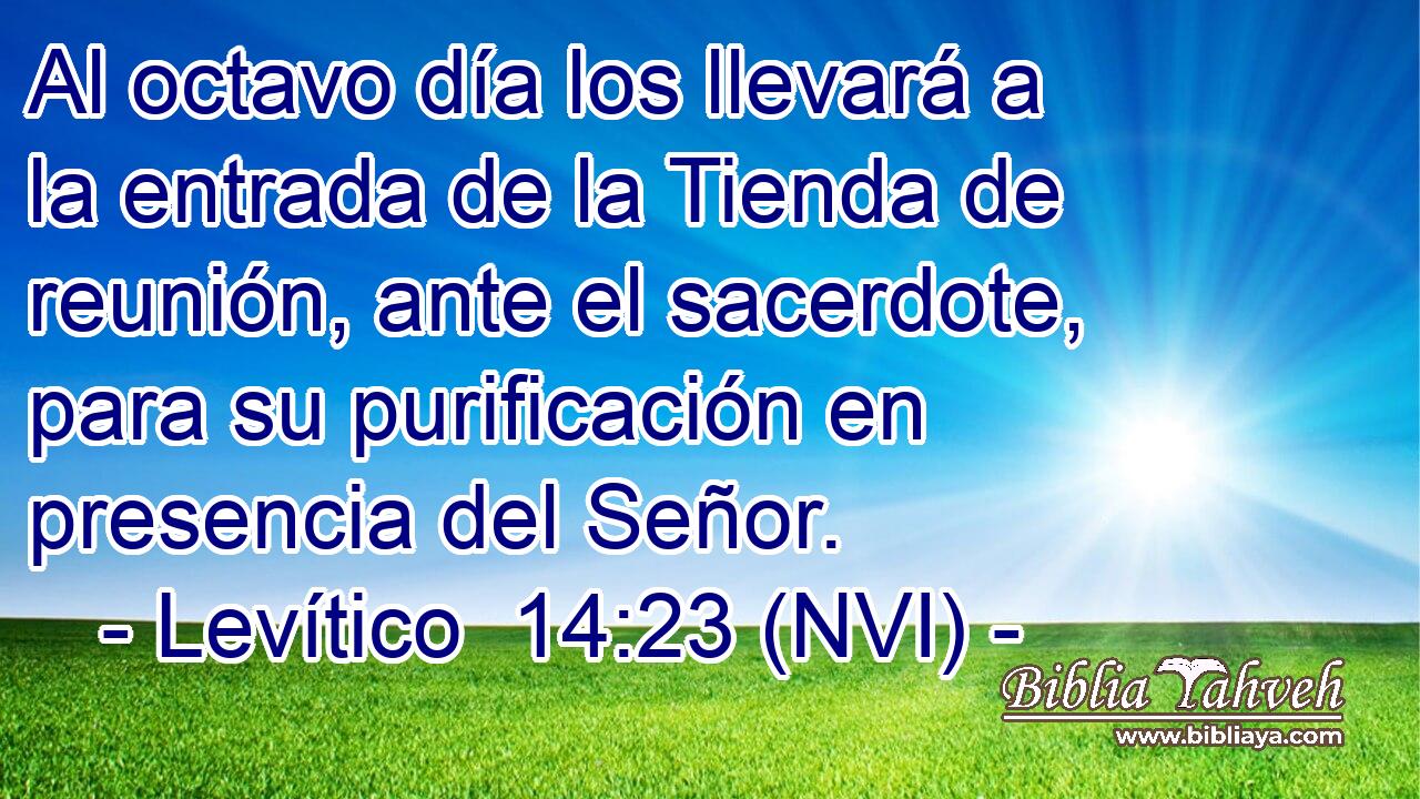  Al octavo día los llevará a la entrada de la Tienda de reunión, ante el sacerdote, para su purificación en presencia del Señor. 