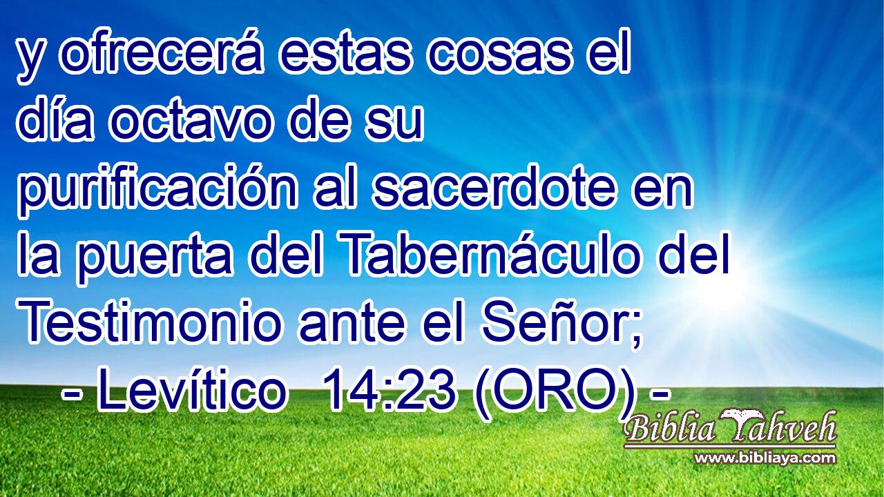  y ofrecerá estas cosas el día octavo de su purificación al sacerdote en la puerta del Tabernáculo del Testimonio ante el Señor; 