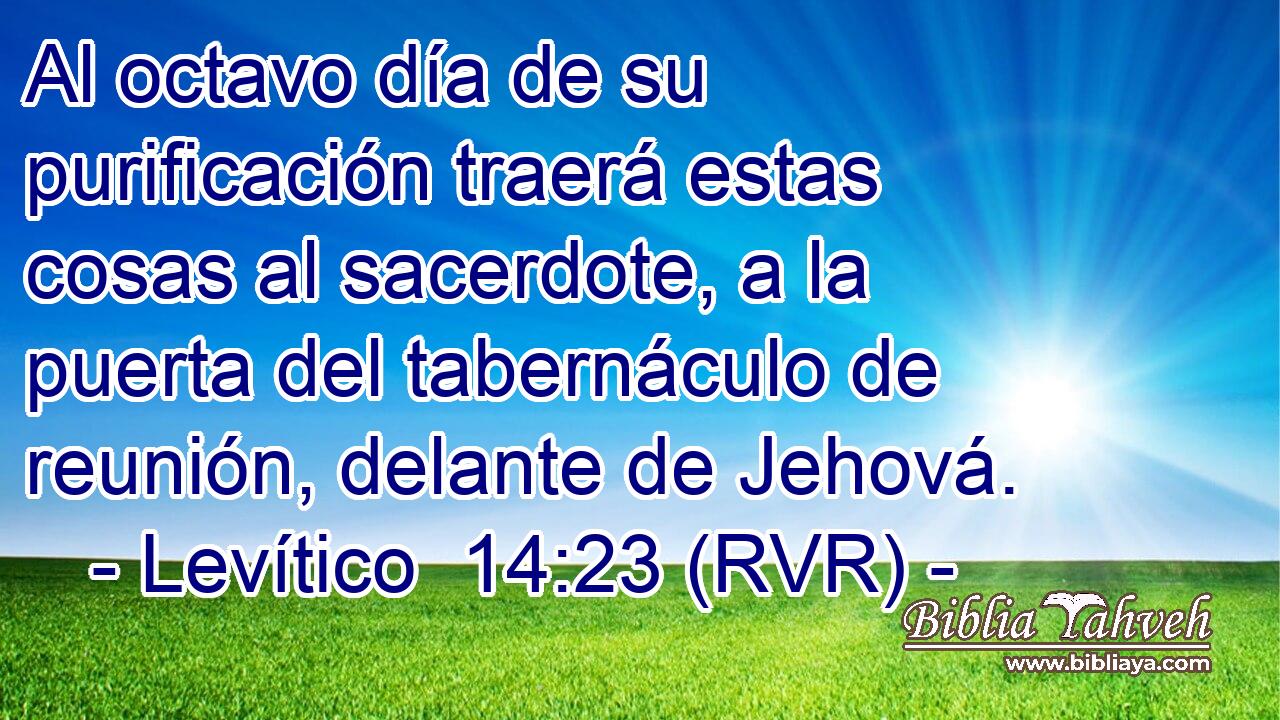Al octavo día de su purificación traerá estas cosas al sacerdote, a la puerta del tabernáculo de reunión, delante de Jehová.