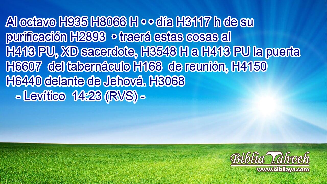 Al octavo H935 H8066 H • • día H3117 h de su purificación H2893  • traerá estas cosas al H413 PU, XD sacerdote, H3548 H a H413 PU la puerta H6607  del tabernáculo H168  de reunión, H4150  H6440 delante de Jehová. H3068  