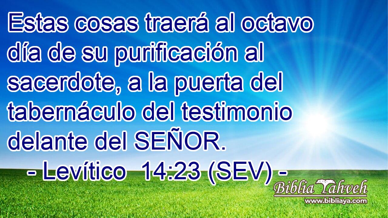 Estas cosas traerá al octavo día de su purificación al sacerdote, a la puerta del tabernáculo del testimonio delante del SEÑOR.