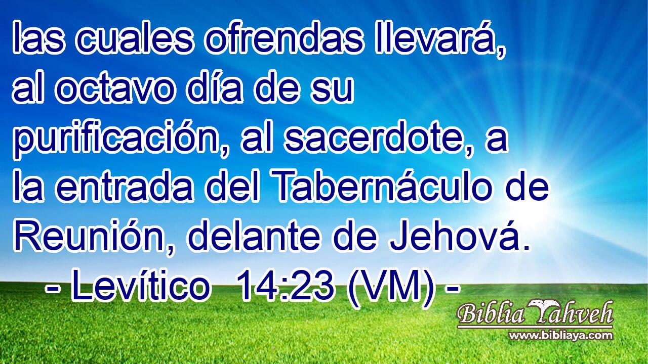 las cuales ofrendas llevará, al octavo día de su purificación, al sacerdote, a la entrada del Tabernáculo de Reunión, delante de Jehová. 