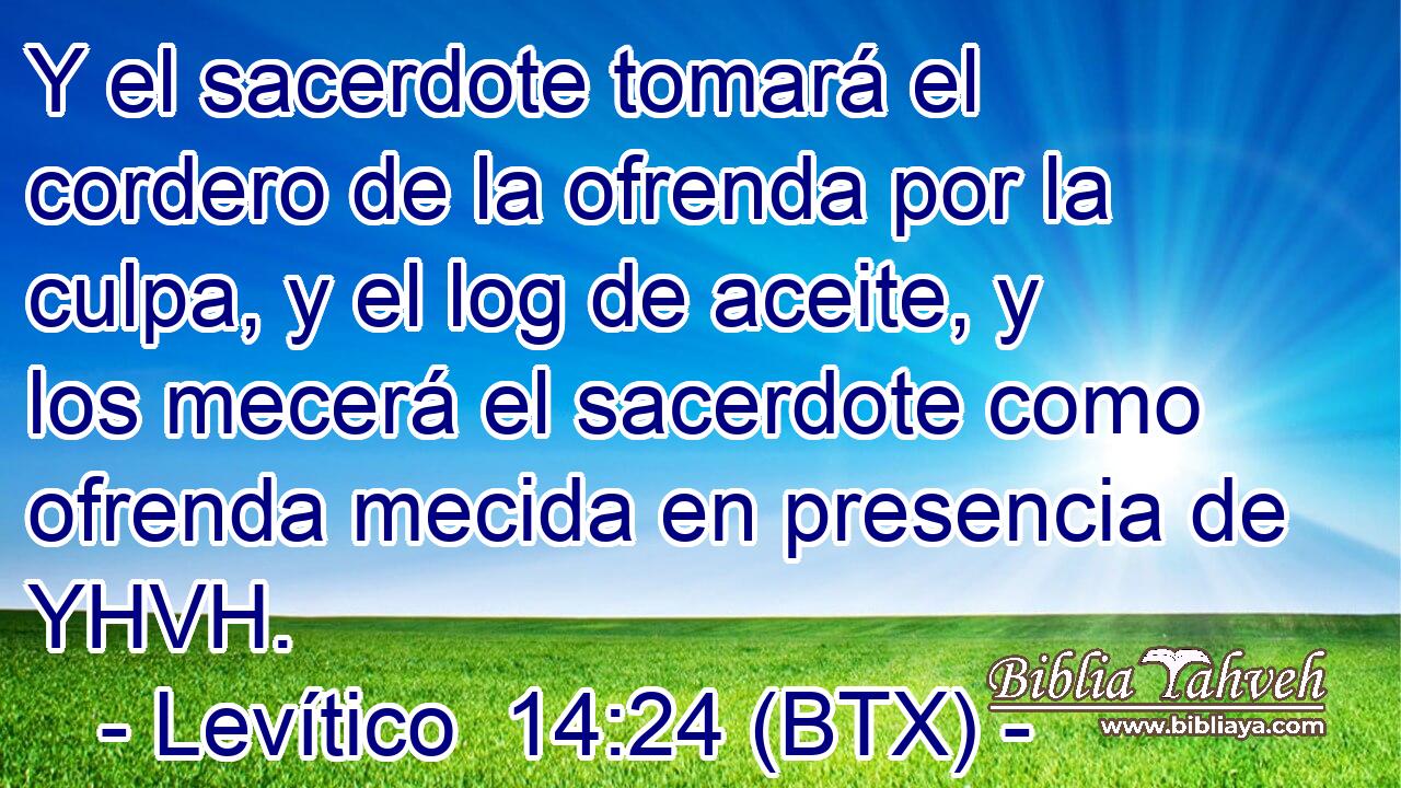 Y el sacerdote tomará el cordero de la ofrenda por la culpa, y el log de aceite, y los mecerá el sacerdote como ofrenda mecida en presencia de YHVH.