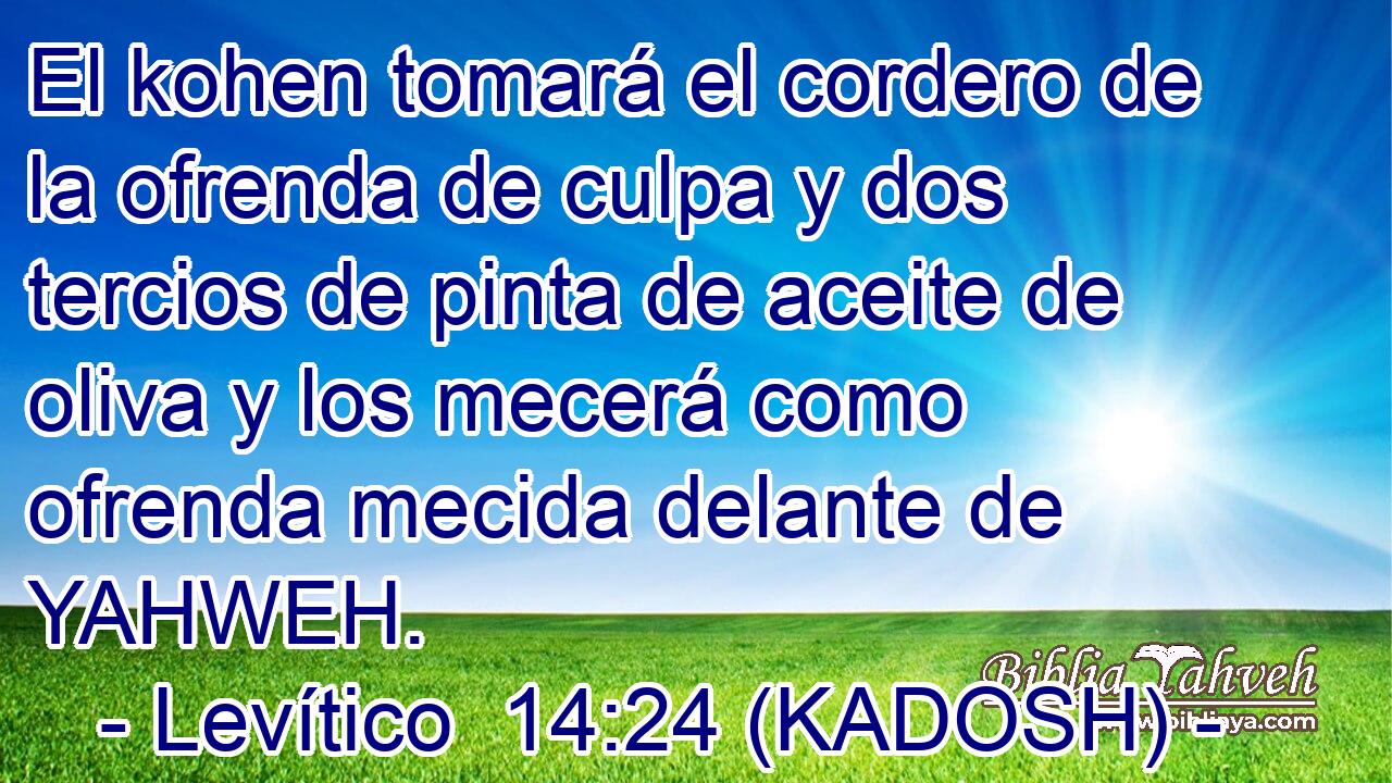  El kohen tomará el cordero de la ofrenda de culpa y dos tercios de pinta de aceite de oliva y los mecerá como ofrenda mecida delante de YAHWEH. 