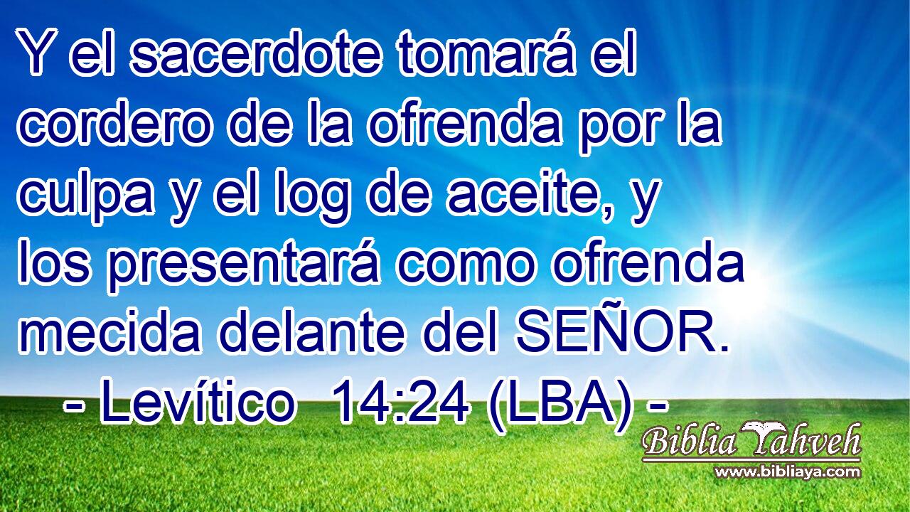 Y el sacerdote tomará el cordero de la ofrenda por la culpa y el log de aceite, y los presentará como ofrenda mecida delante del SEÑOR.