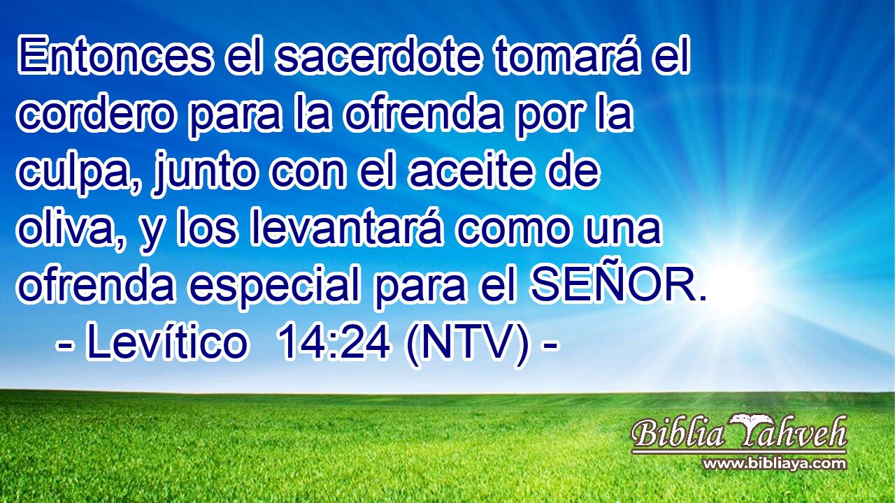 Entonces el sacerdote tomará el cordero para la ofrenda por la culpa, junto con el aceite de oliva, y los levantará como una ofrenda especial para el SEÑOR.