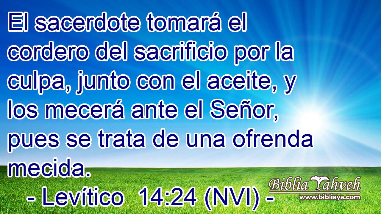  El sacerdote tomará el cordero del sacrificio por la culpa, junto con el aceite, y los mecerá ante el Señor, pues se trata de una ofrenda mecida. 